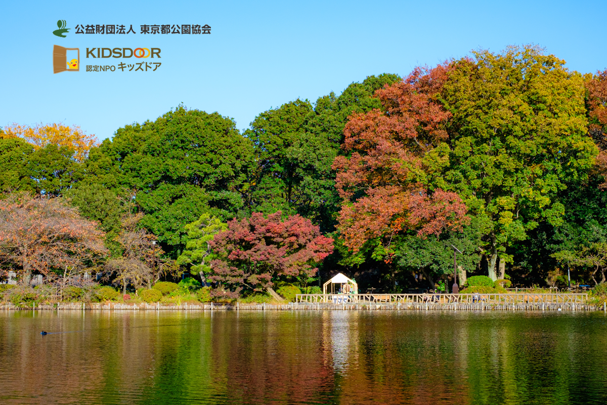身も心もほっこり！秋の善福寺公園で自然観察＆焼き芋体験！
