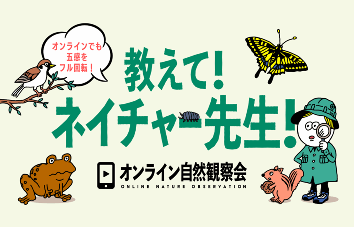 3/29（日） 小学生対象！ 春休みのオンライン自然観察会のご案内！