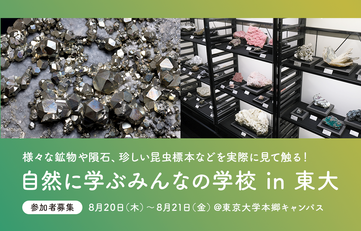 夏休みに2日間開催！ 自然に学ぶみんなの学校 in 東大のご案内！