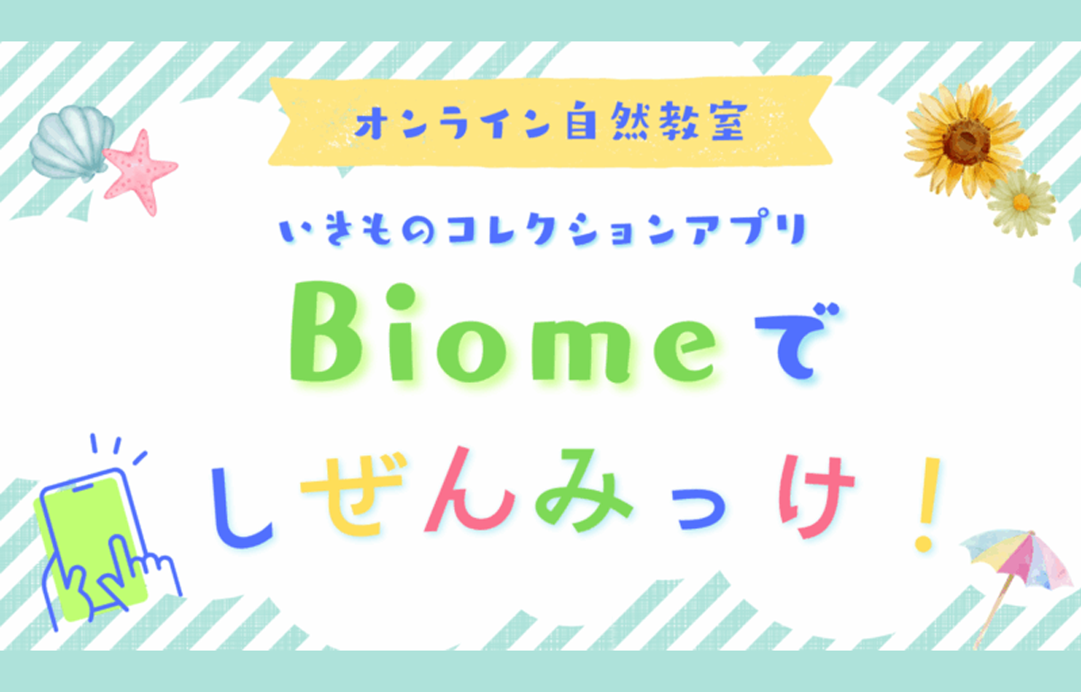 8/1（土） 教材を自宅に無料でお届け！ オンライン自然教室のご案内！