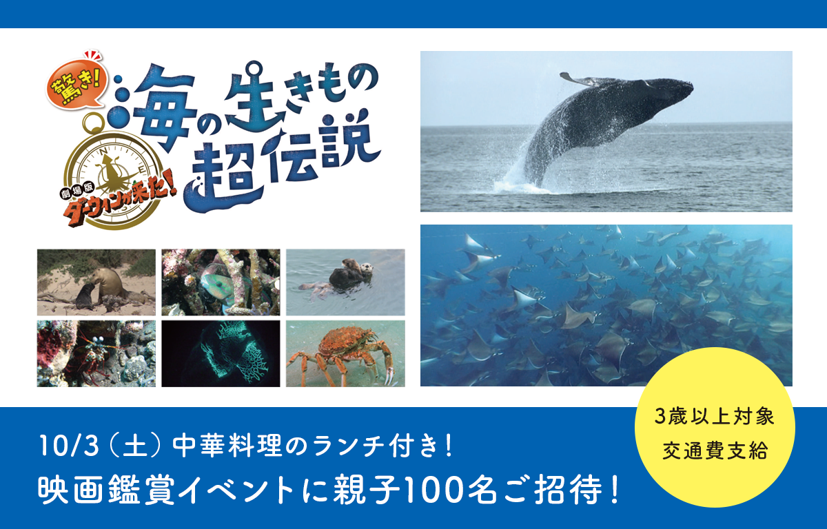 中華料理のランチ付き！ 映画鑑賞イベントに親子100名ご招待！